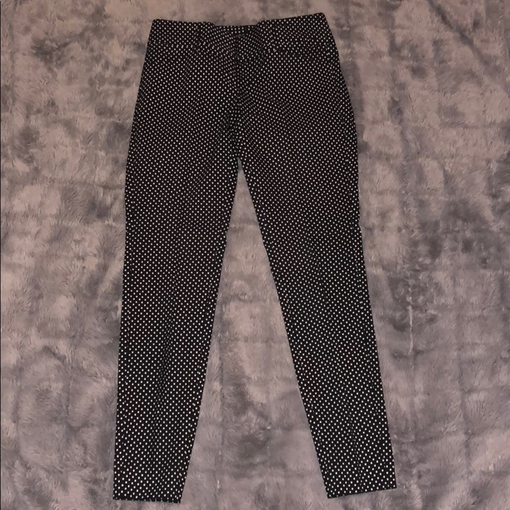 The Limited Dress Pants